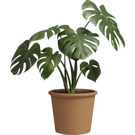 Artevasi Pflanztopf Saramago Cilindro Terrakotta tonrot Ø 18 x 15 cm (1/2)