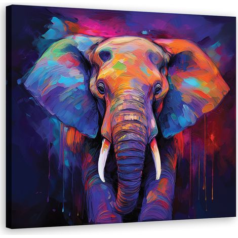 Quadro su tela, Elefante Colore - 30x30 (1/5)