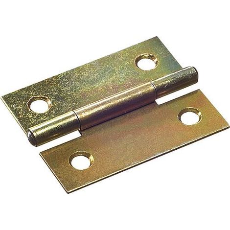 Charniere demi-large avec vis zingue L : 40mm Emballage 2 pieces