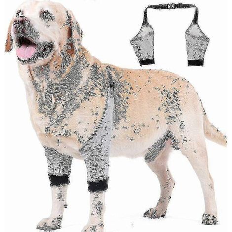 Protection de coude réglable pour chien, manchon pour patte avant, attelle de protection pour la récupération après une opération ou une blessure (1 paire) (1/5)