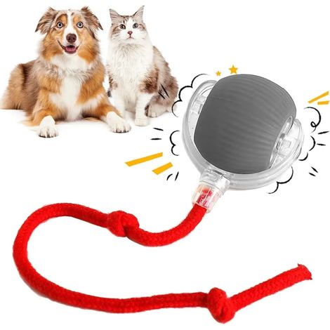 Balle interactive pour chat - Jouet électrique pour chat rechargeable par USB, TROIS modes de fonctionnement, balle intelligente roulant à 360° pour chats et chiens (1/5)