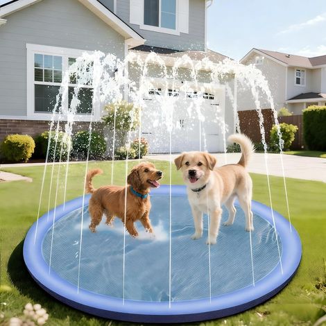 Piscine pour chiens, 100 cm, jeux aquatiques pour enfants, d'extérieur, pliable et portable, en PVC, piscine pour chiens robuste avec rebords anti-éclaboussures et revêtement antidérapant, toboggan aq (1/5)
