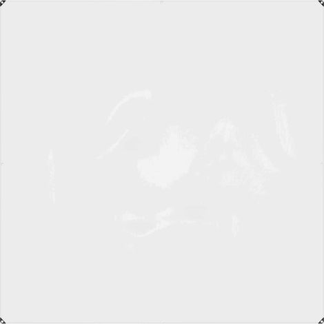 Tarpuline Transparent 2 x 2 m PVC (1/5)