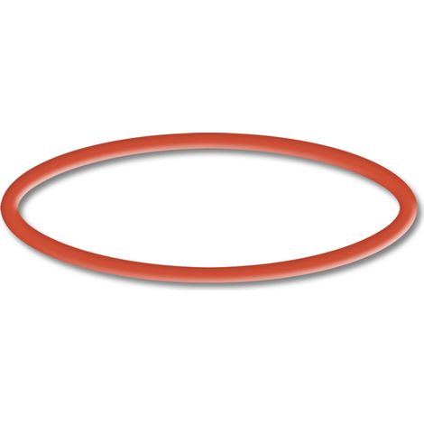 Pièce détachée: SunSun CPP-5000F Pompe de Piscine - Joint torique 4 (1/3)