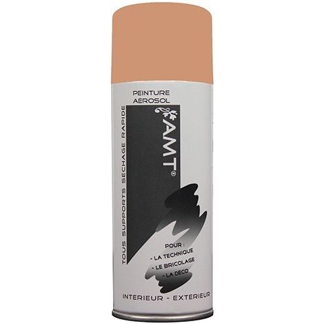AMT Aérosol Couleur Blush Mat (BPA007) 0,330 L