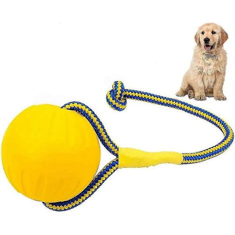 Balle pour chien, balle à mâcher avec corde, lanceur de balle interactif pour le jeu et l'entraînement des chiens, diamètre de la balle : 7 cm (1/5)