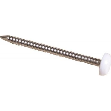 Pointes annelées Inox A4 tête plate surmoulée de PVC blanc Ø 2 mm longueur 40 mm B250 - DON QUICHOTTE (1/2)