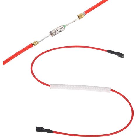 Fusible Thermique Universel Pour Cuiseur À Riz, 229°C 10A 250V Fusible Thermique Métallique Avec Doublure En Fibre De Verre Aux Deux Extrémités Pour Pièce De Réparation (1/5)