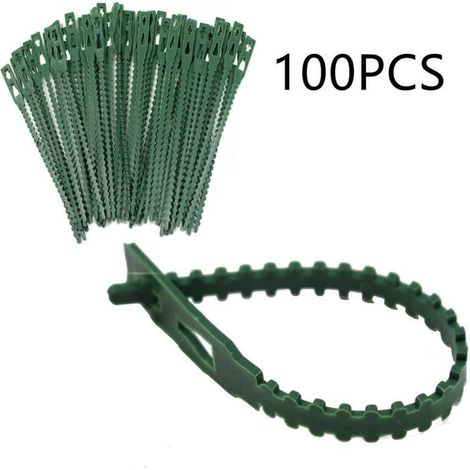 Pflanzenclips - Robuste Clips für kleine und große Triebe - 100 Stück - Länge 17 cm - Grün