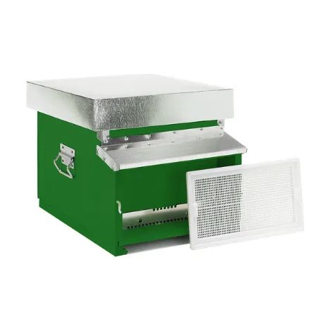 Arnia Dadant Blatt 10 favi fondo fisso 21H nomadismo 17kg Casagrande - Verde