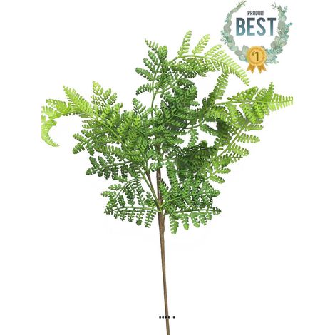 Branche de fougère Adiantum artificielle, H 57 cm - BEST (1/4)