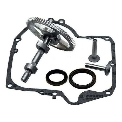 Briggs & Stratton Nockenwelle 793880 793583 792681 791942 795102 Nockenwellen-Austauschsatz mit Öldichtung 795387 und Ruikalucky Kurbelgehäusedichtungen 697110 LKBD (1/4)