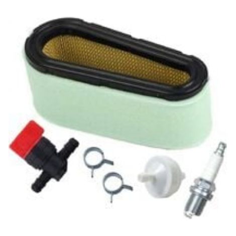 Filtre à carburant 592 compatible avec moteur monocylindre 12.5-17 HP.
