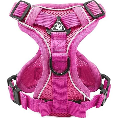 Harnais réglable pour chat, anti-fuite, avec laisse, souple pour chats, chatons, chiens et chiots (Rose-M) (1/4)