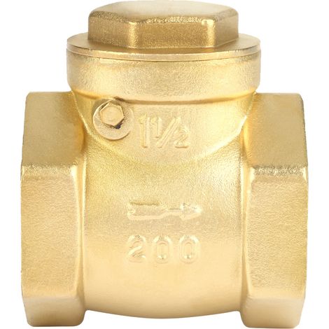 Clapet anti-retour à battant en laiton, filetage femelle DN40, pression de service 232 PSI, empêchant le refoulement d'eau (1/5)