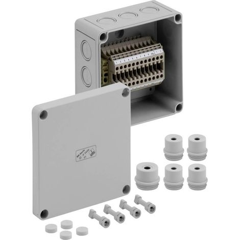 Spelsberg RK 4/12-12x4q Caja de instalación gris IP54