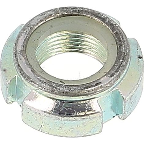 Écrou à Encoches Bague Nylon M55 Pas 200 Acier Zingué Blanc DIN 985