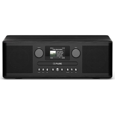 Pure 254587 radio