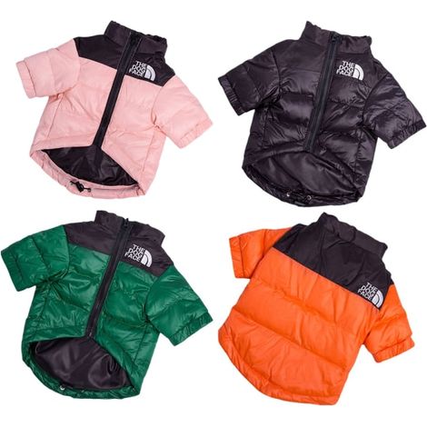 Manteau chien hiver noir S, veste rembourrée à capuche tête de chien, tenue chaude pour petit animal, combinaison élégante et confortable. (1/5)
