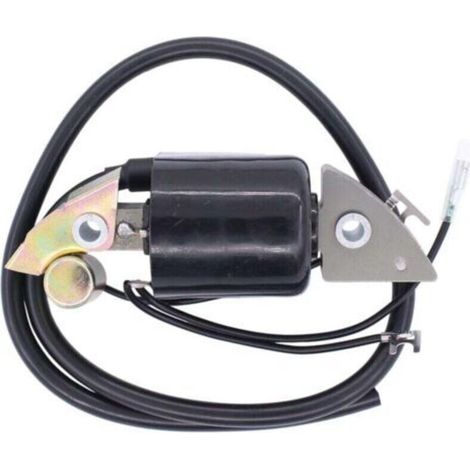 Ignition coil for Honda G150 G200 G300 G400 engine 30500-887-303 30560-883-015 (1/5)
