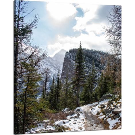 Leinwanddruck Natur Bergpfad Schnee 80x100