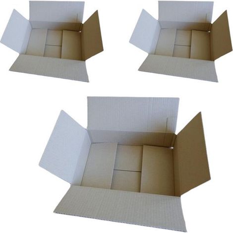3 cartons d'emballage 31 x 21 x 7,5 cm (1/3)