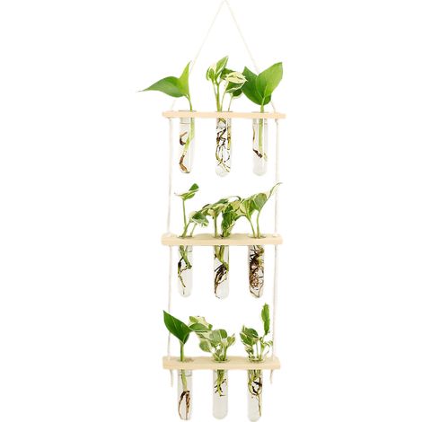 Station murale de propagation - Support végétal étagé en bois naturel avec 9 tubes verre pour plantes, décoration floral pour maison bureau (1/5)