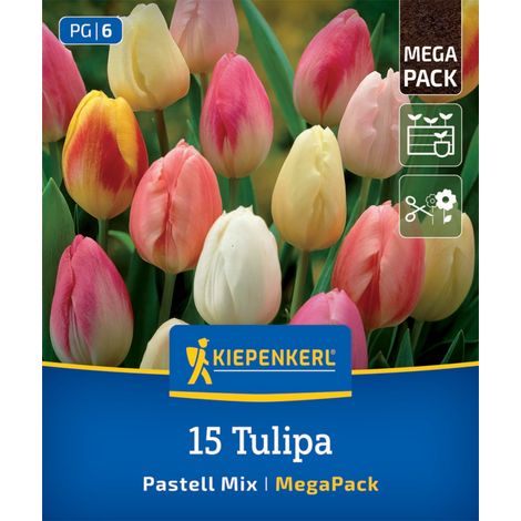 Kiepenkerl Herbstblumenzwiebel Tulpen Pastell Farbenspiel 15 Stück (1/2)