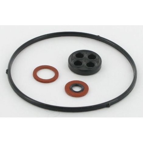 16010ZE2015 - Kit Joints de Carburateur pour moteur HONDA