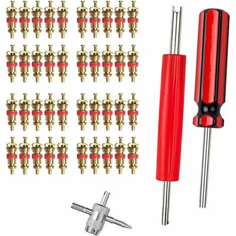 Démonte obus de Valve Outil de Reparation/Outils pour Valves de Pneus Valve Core Remover avec 40 pcs Valve Core pour Voiture Remplacement (1/5)