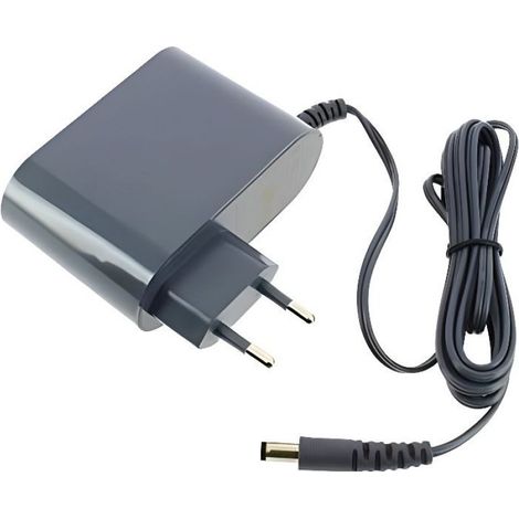 Chargeur Pour Aspirateur Balai - X-Force Flex 11.60 - Compatible Modèles RH98xxWO4Q0 Et RH98xxWO4Q1 - 1 Pièce