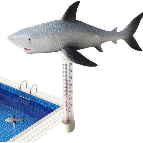 Schwimmendes Poolthermometer - Schwimmendes Poolthermometer (1/5)