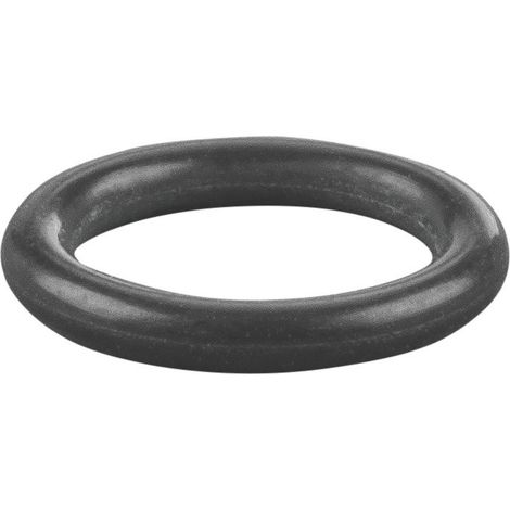 Rems O-Ring 060165