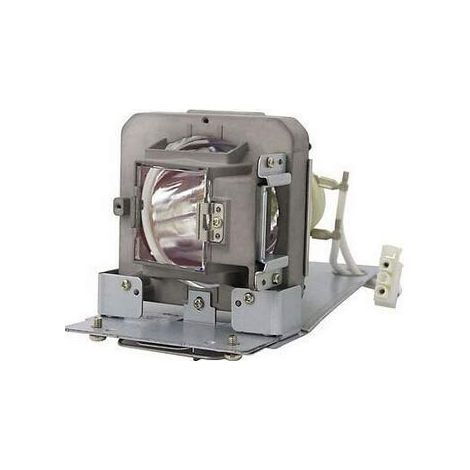 Lampe ampoule bulbe de projecteur de remplacement avec boîtier Compatible avec PRM42 (1/2)