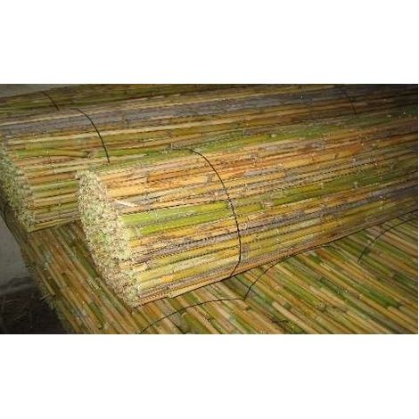 Faura - Bambú Entero - Importación Bambú para cerramiento de Jardín 1,5x5 m. - 1,5x5 m. -