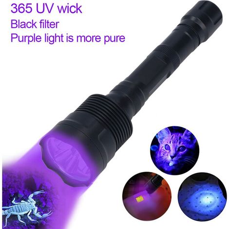 Torcia UV a 3 LED da 395 nm, rilevamento della fluorescenza per urina di cane e banconote (1/5)