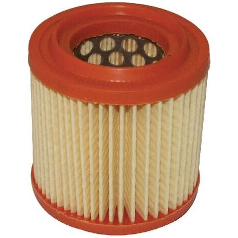 Filtro Air AS motor 4221