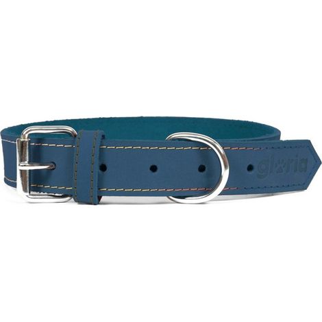 Collier pour Chien Gloria Oasis Bleu (1,5 x 40 cm) (1/5)