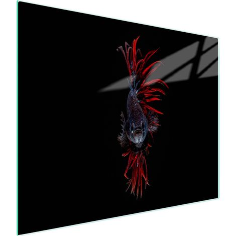 TAGLIERE IN VETRO 52x30 PESCE (1/5)