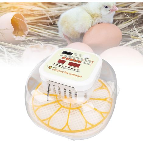 LED Display Temperature Control 12-Egg Incubator (Power Plug) (1/5)