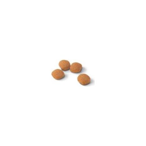 Crocchette Gatto Exigent Protein 2 Kg Royal Canin