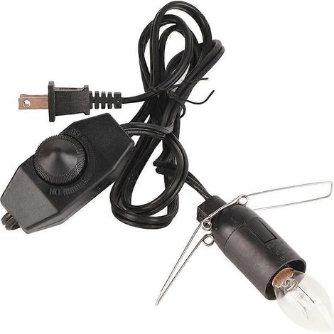 Lampe de sel de cristal 25 W avec variateur, prise américaine 110 V, idéale pour la chambre ou le bureau. (1/4)