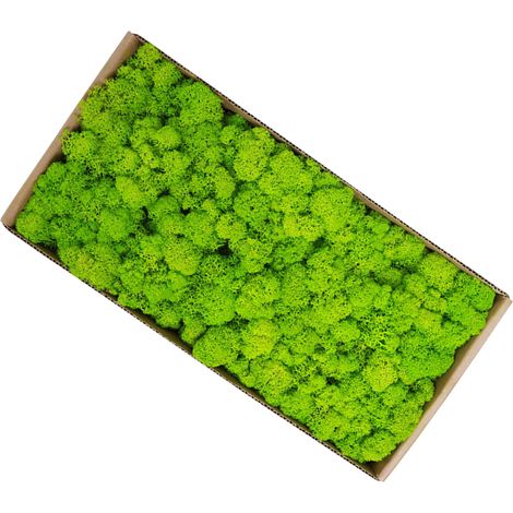 Decoración de pared con musgo [Musgo preservado] 500 g de material natural preservado para jardines en miniatura y diseño de interiores de bajo mantenimiento. (1/5)
