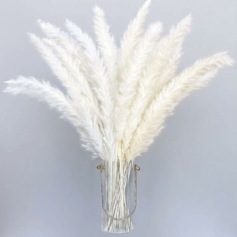 Lot de 30 Herbes de Pampa artificielles séchées de Style bohème - Décoration d'intérieur - Phragmites - Fleurs séchées - pour vases, Bouquet de Fleurs Blanches - pour Mariage,55cm (1/4)