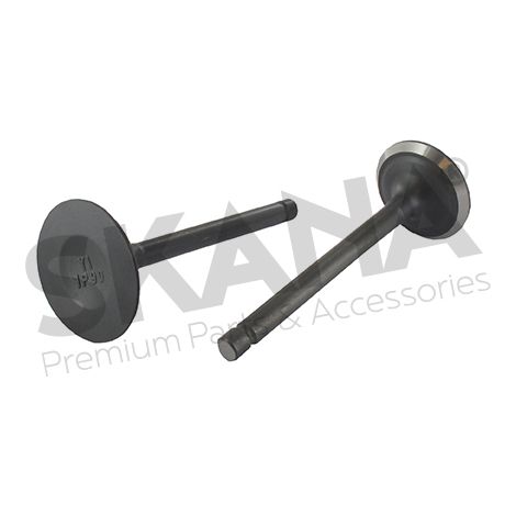 Pezzo motore Stiga 118551289/0 valvola di aspirazione essenziale