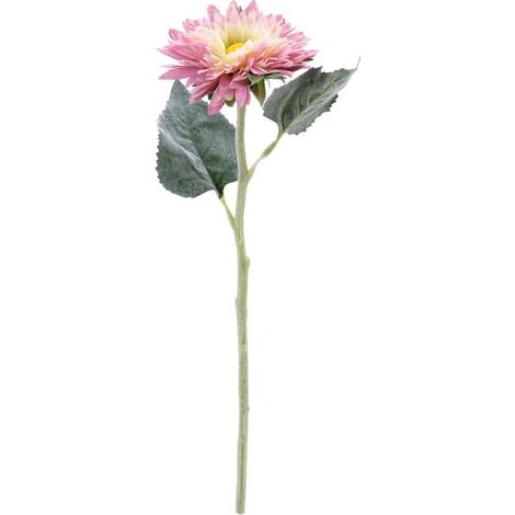 Fleurs séchées naturelles pour une décoration de table rustique, bouquet de fleurs artificielles en soie aux multiples pétales, détails uniques des sépales, léger et doux, parfait…