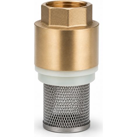Clapet de Pied Laiton DN15 avec Filtre pour Pompe Jaune (1/5)