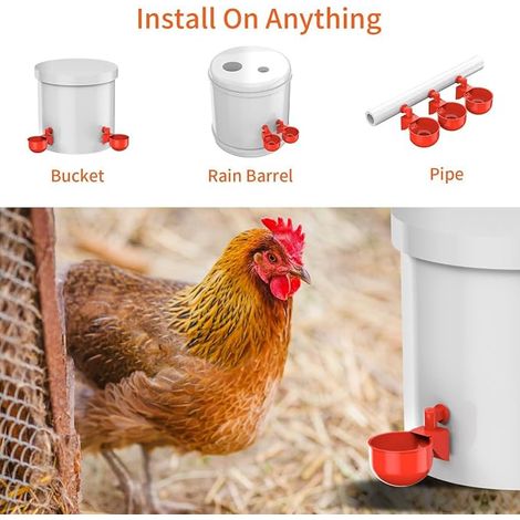 abreuvoirs automatiques poulet – Système d'arrosage volaille alimenté gravité avec flotteur – Kit d'alimentation eau (1/4)