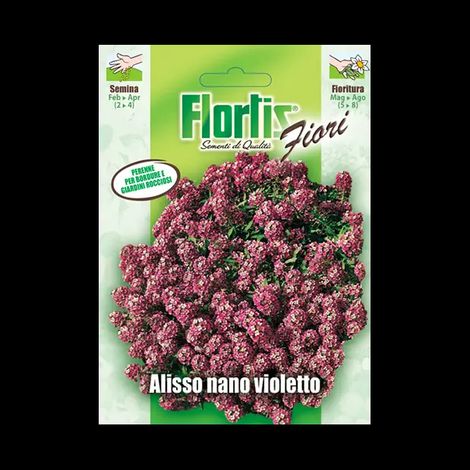 ALISSO NANO VIOLETTO (1/2)