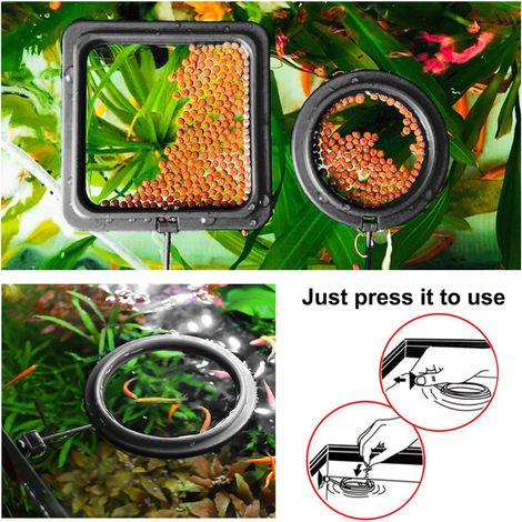 Anneau de Nourrissage pour Poisson Carré et Rond Carré de Nourriture Flottant avec Ventouse pour Aquarium (1/5)